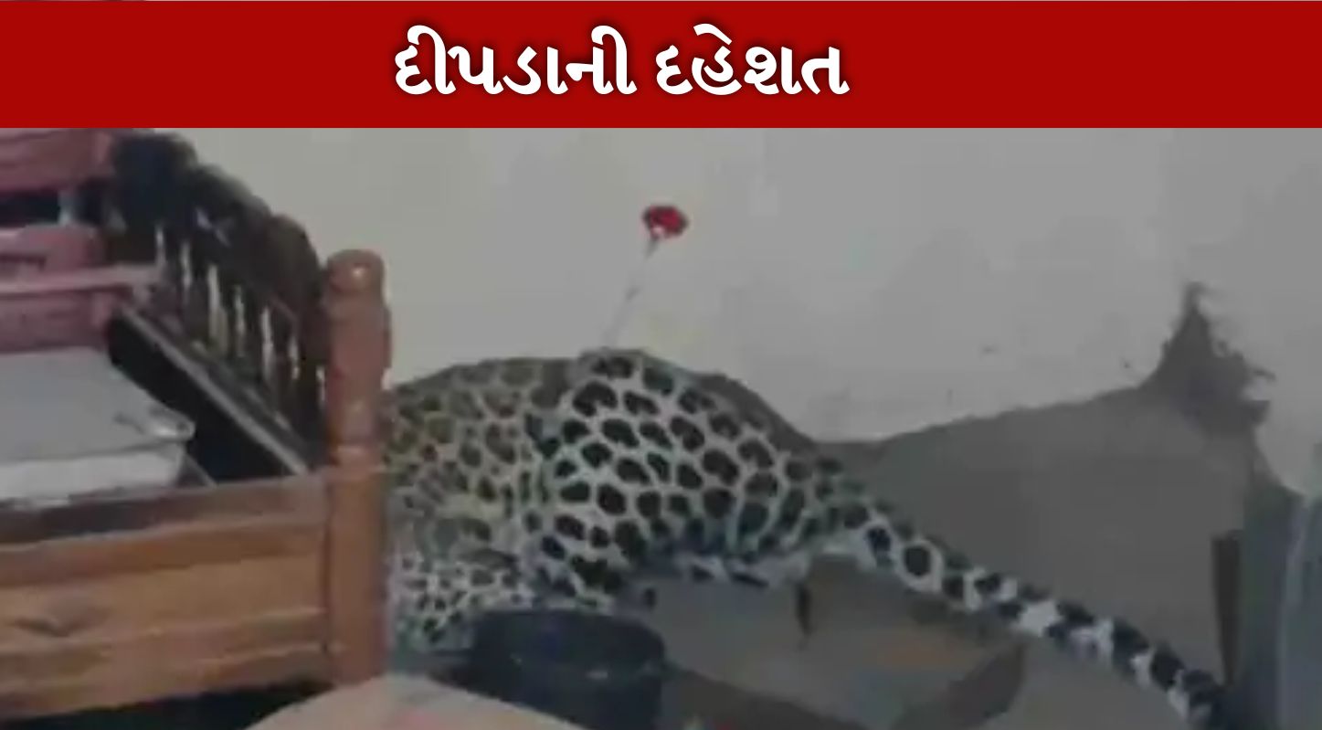 Leopard