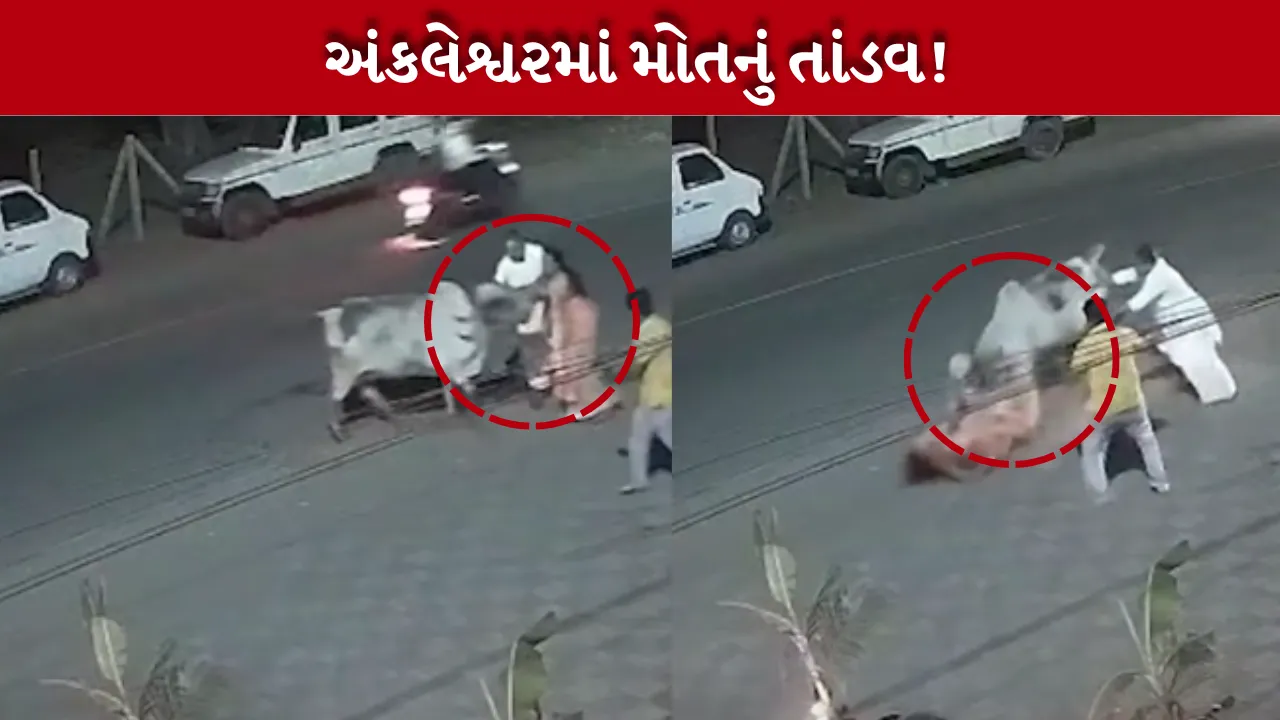 CCTV
