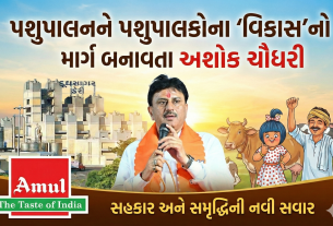 Ashok Chaudhary: ગામડાને આત્મનિર્ભર બનાવી સાચુ ગ્રામ સ્વરાજ લાવવાનું ધ્યેય