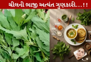 બથુઆ, Bathua, શિયાળા, સ્વાસ્થ્યલાભ, ડાયેટ