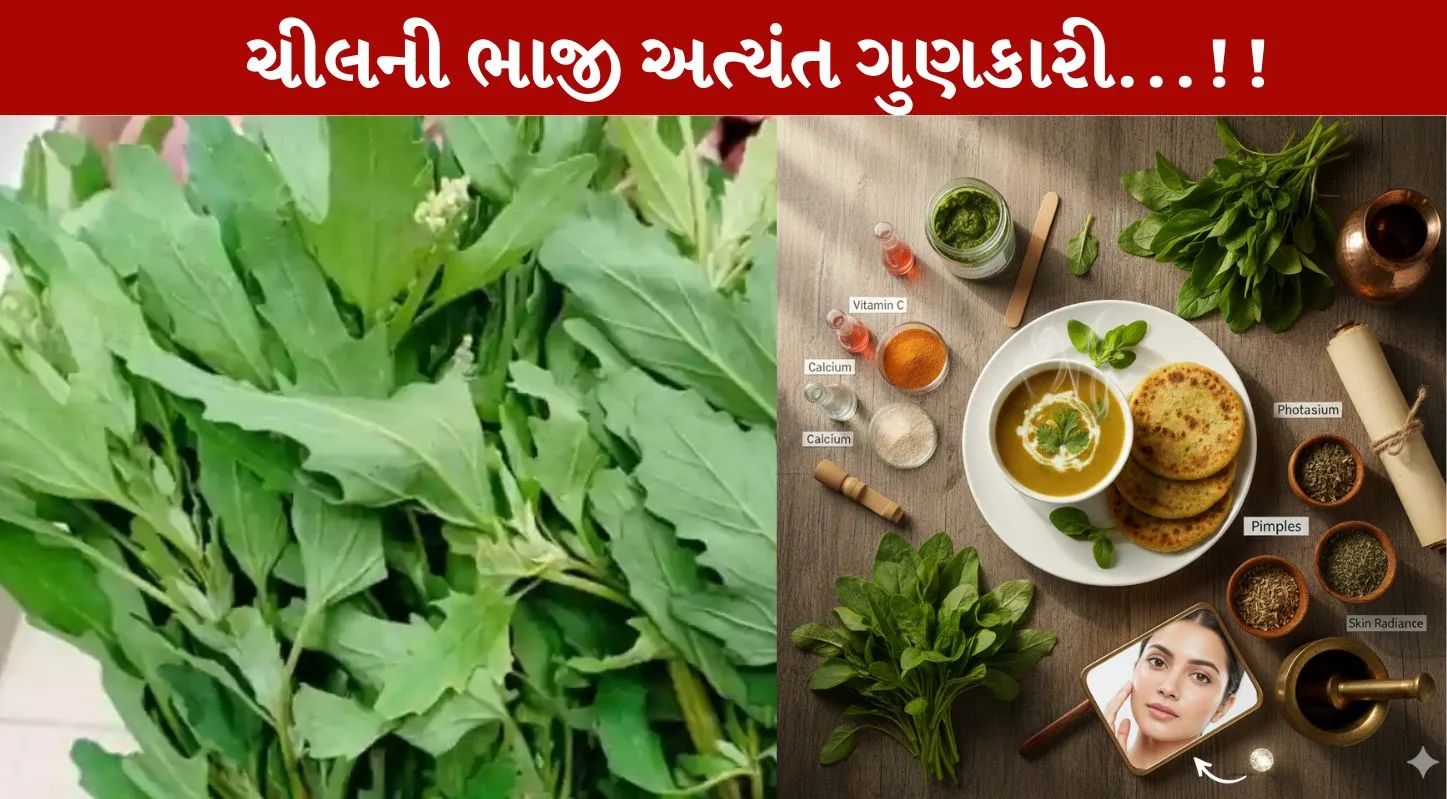 બથુઆ, Bathua, શિયાળા, સ્વાસ્થ્યલાભ, ડાયેટ