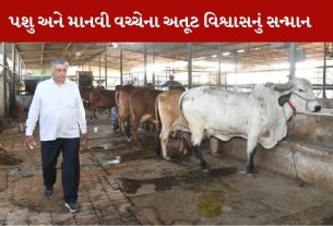 Cattle Farmer