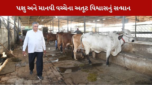 Cattle Farmer