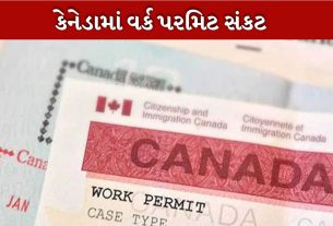 Work permit
