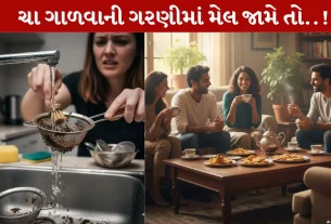 Cha ni Garni, ચાની ગરણી, ગંદકી, 2 ક્લીનિંગ ટિપ્સ