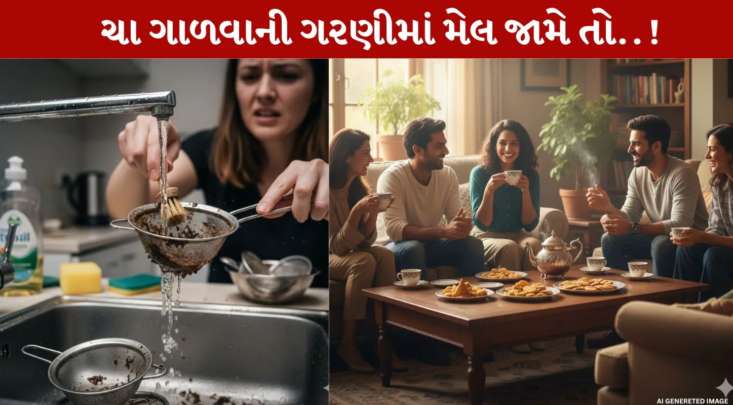 Cha ni Garni, ચાની ગરણી, ગંદકી, 2 ક્લીનિંગ ટિપ્સ