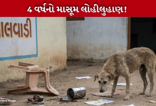 Stray Dog