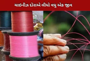 કર્ણાટક