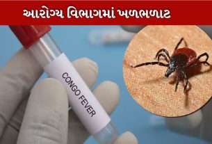 Congo fever