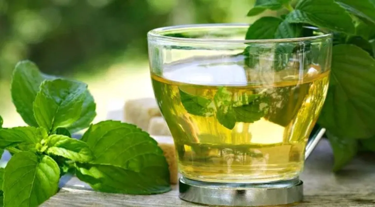 Green Tea, ગ્રીન ટી, લીંબુ પાણી, વજન ઘટાડવા, ટિપ્સ