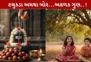 Bor Fruit ,બોર ફળ, સ્વાસ્થ લાભ,ભગવાન શિવ, પ્રિય