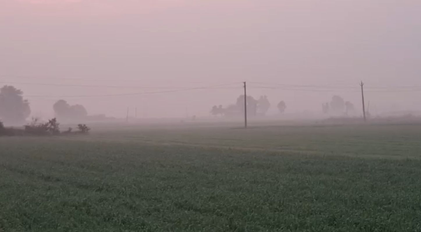 Weather