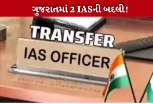 Transfer