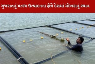 Kutch