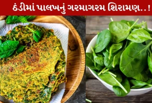 Palak Chilla, પાલખ ચીલા, હૅલ્ધી બ્રેકફાસ્ટ, રેસિપી