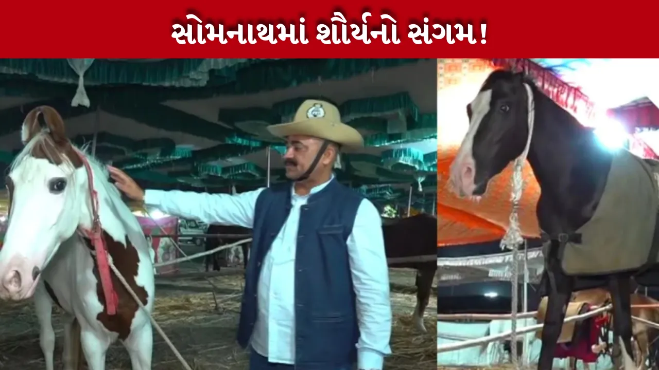 PM Modi Somnath Roadshow