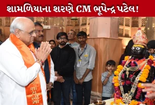 Shamlaji Mahotsav