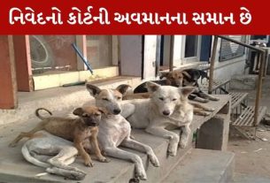 Stray Dog