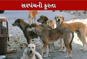 Stray Dogs