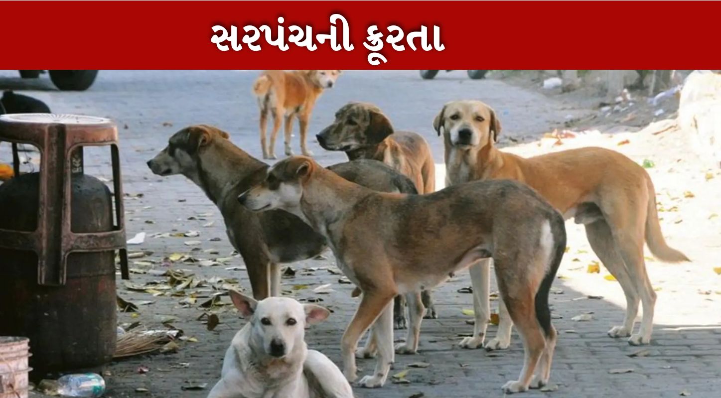 Stray Dogs