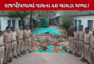 Tiger Skin Seized in Rajpipla
