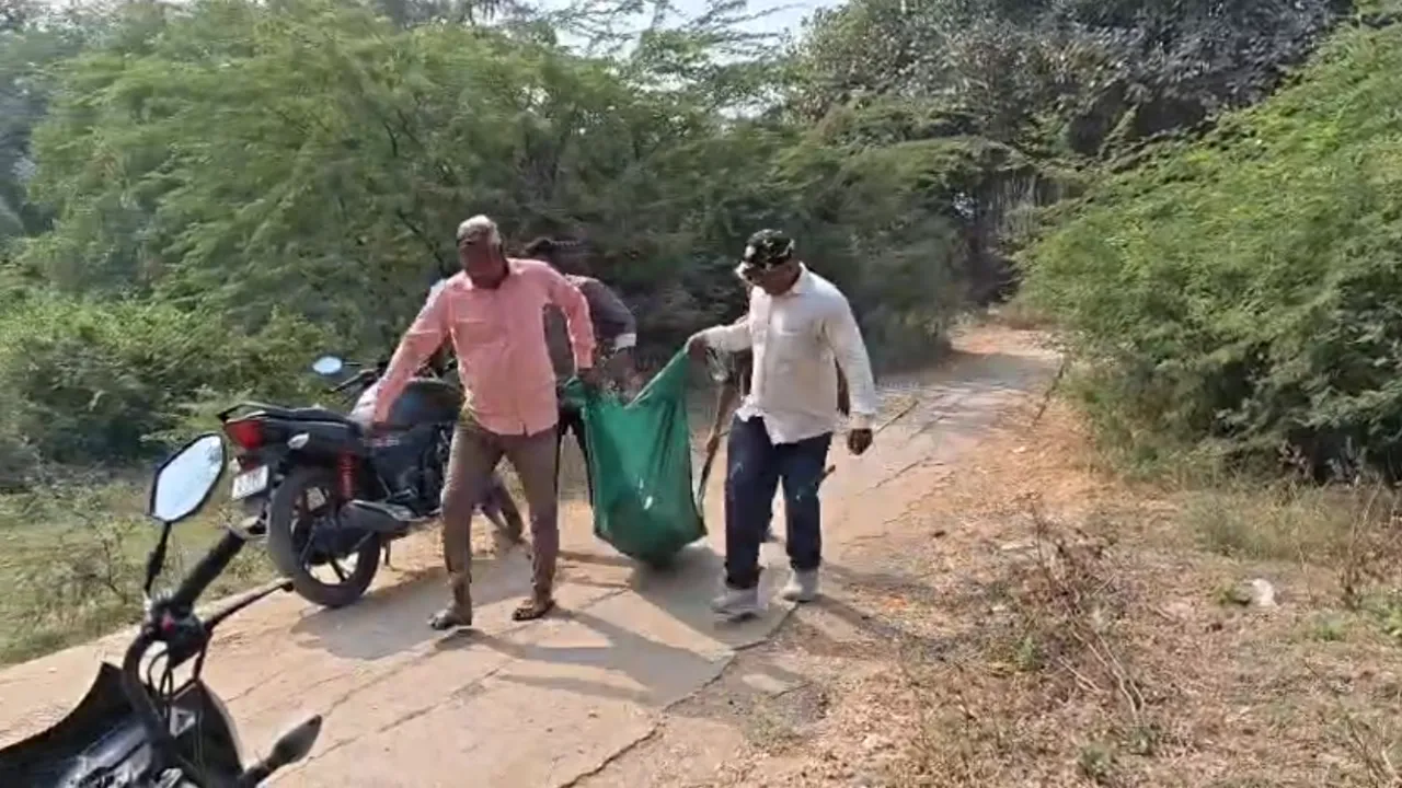 Vadodara Crocodile Death