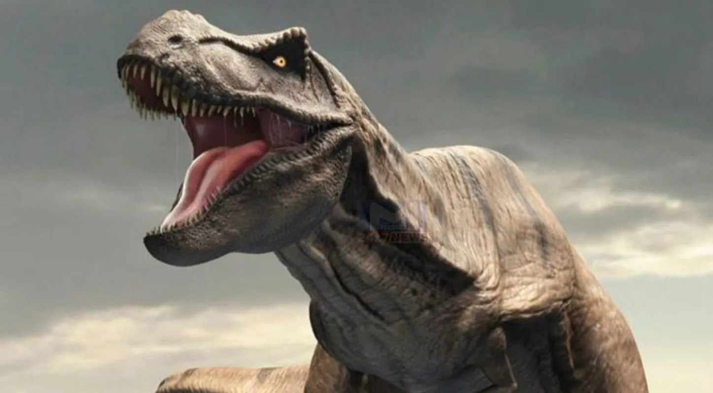 Dinosaur, પેલિયેન્ટોલોજિસ્ટ, પોલ સેરેનો, ગરોળી, હાડકાં