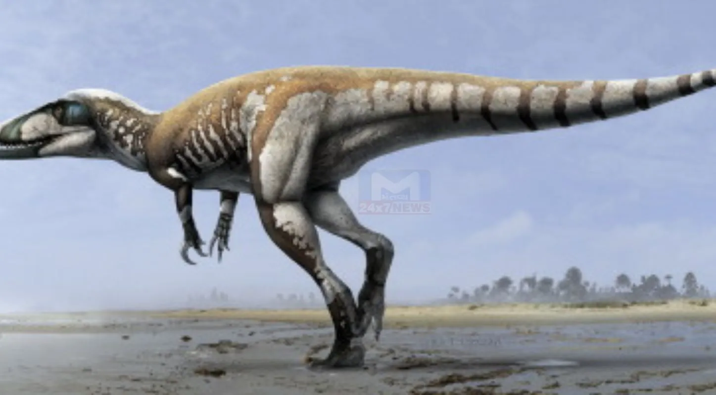 Dinosaur, પેલિયેન્ટોલોજિસ્ટ, પોલ સેરેનો, ગરોળી, હાડકાં