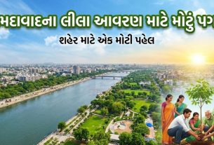 AMCની વૃક્ષ ગણતરી પહેલ: 8 વોર્ડમાં સર્વે પૂર્ણ