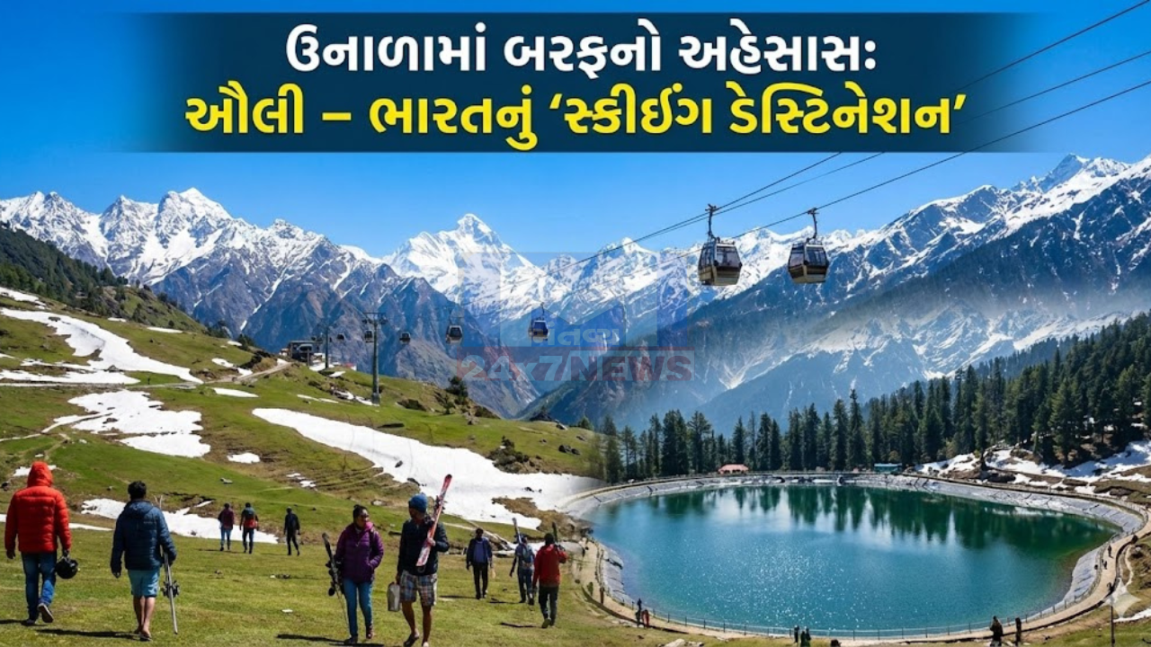 Auli