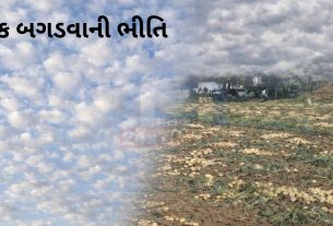 Banaskanthaમાં વાદળછાયું વાતાવરણ! ખેડૂતોમાં ચિંતા વધી