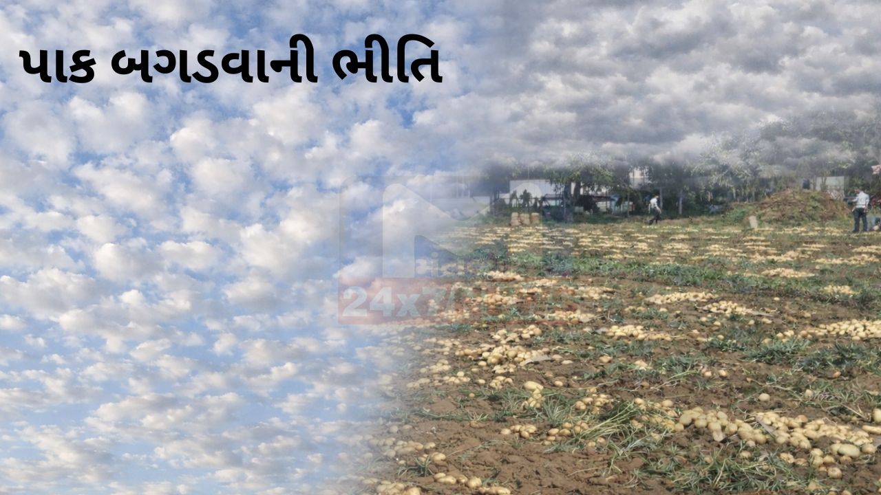 Banaskanthaમાં વાદળછાયું વાતાવરણ! ખેડૂતોમાં ચિંતા વધી