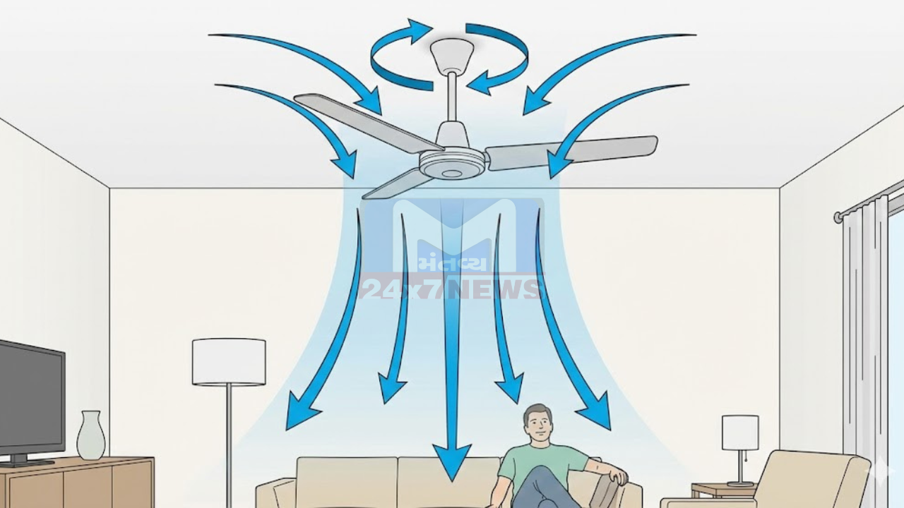 Fan