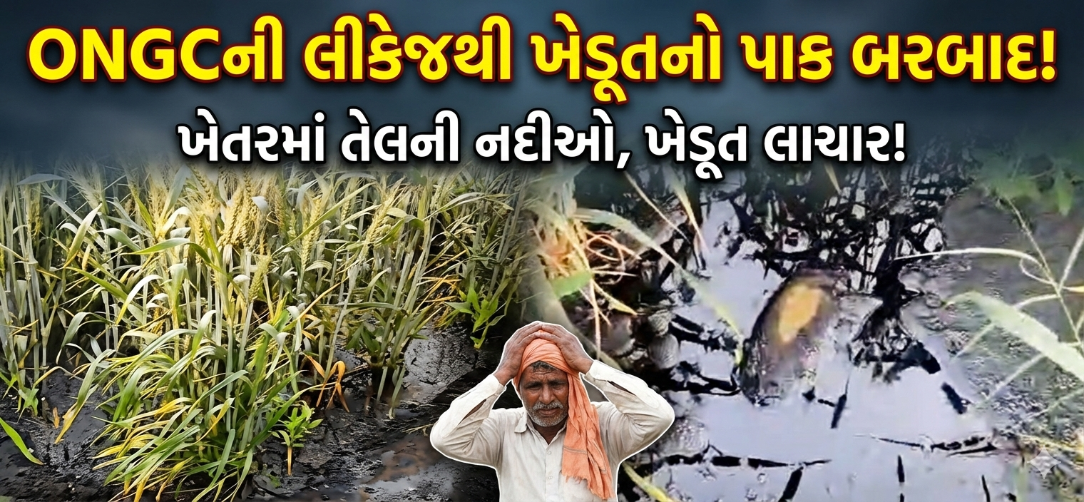 બહુચરાજી કનોડામાં ONGCની બેદરકારીનો ભોગ ખેડૂત