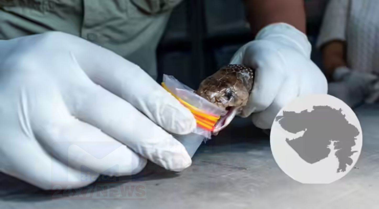 Gujarat Antivenom Project