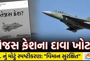 Tejas Fighter Jet