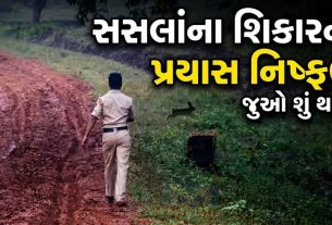 Junagadh news