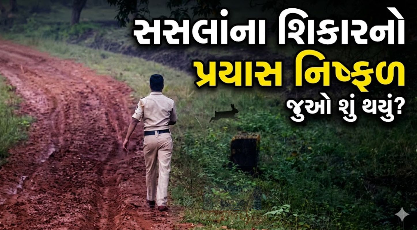 Junagadh news