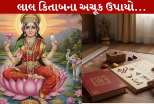 Lal Kitab Upay ,લાલ કિતાબના ઉપાયો, લક્ષ્મી, ગૃહકલેશ, નોકરી