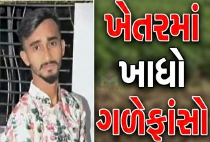 વડોદરામાં વધુ એક આપઘાત (Suicide)ની ઘટના