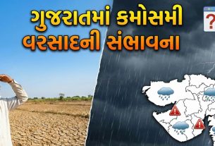 Gujarat Unseasonal Rain