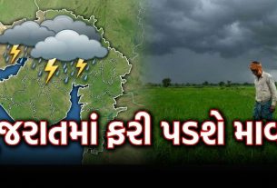 Rain Forecast