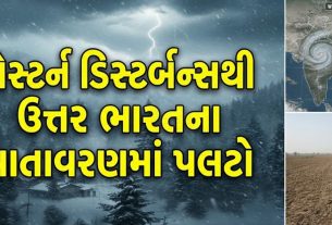 Rain Forecast