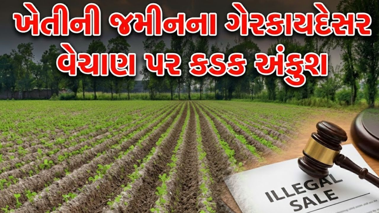Farmland Illegal Sale