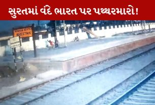 Train Stone Pelting