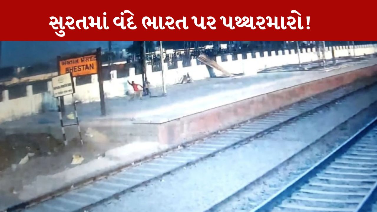Train Stone Pelting