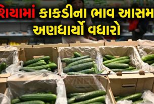 Russia cucumber price surge