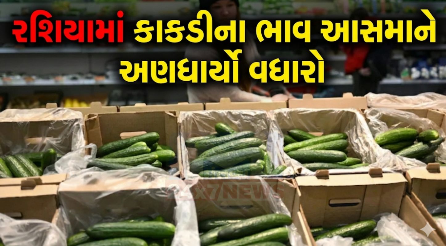 Russia cucumber price surge