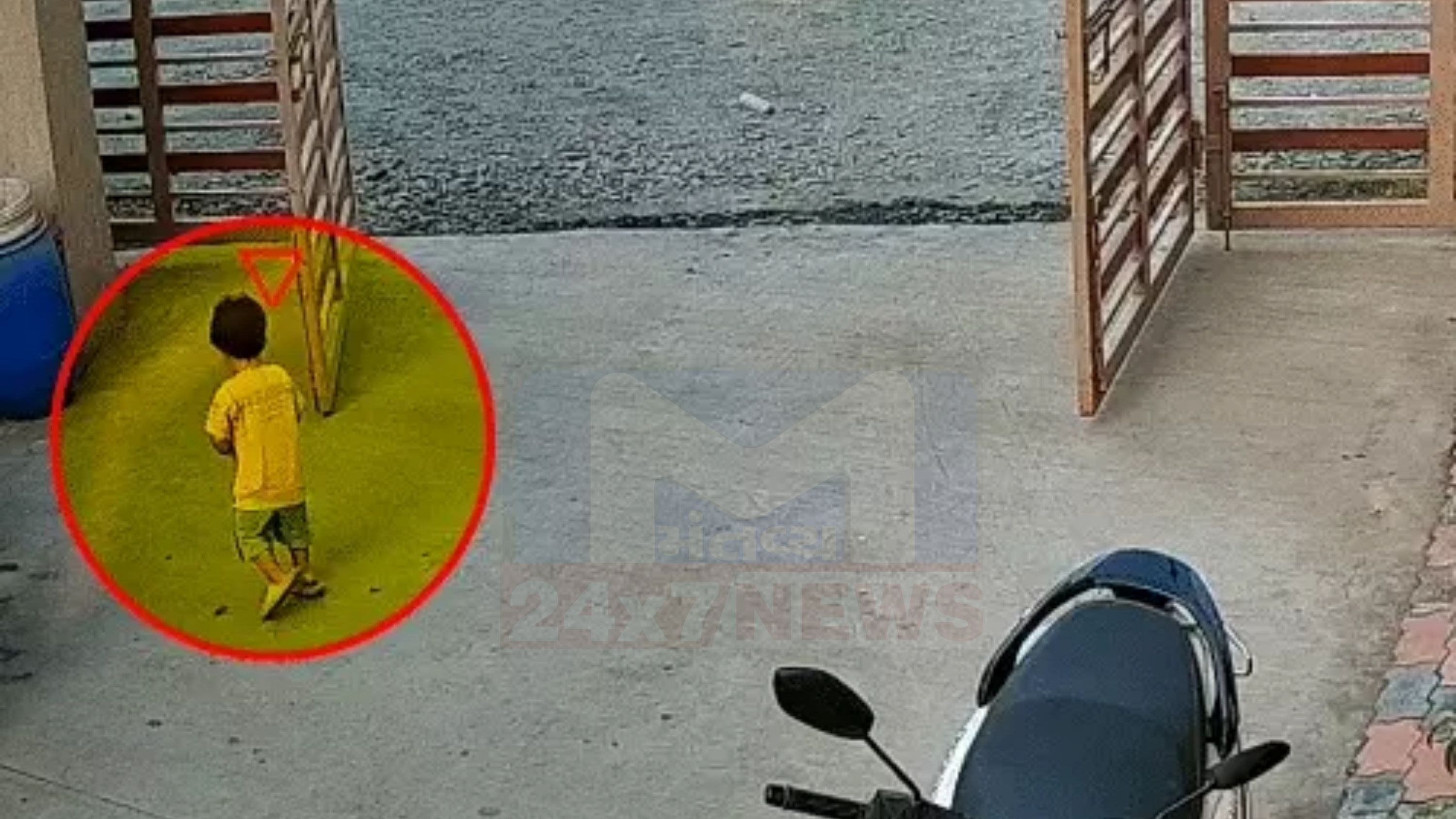 Surat stray dog attack
