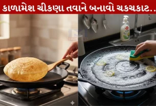 Tawa Cleaning, તવાને સાફ કરવા, ટિપ્સ, પરોઠા, સ્ક્રબર